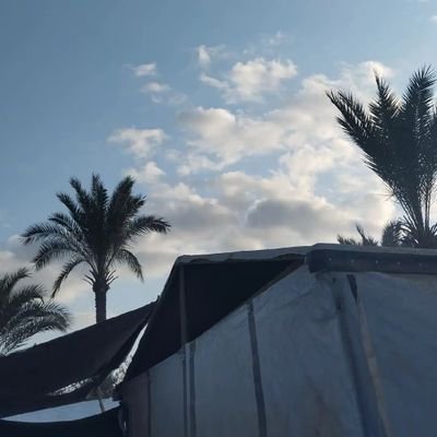 Haya123321456's profile picture. انا من غزه🥺💔