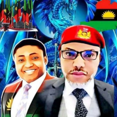 usbgermany's profile picture. 