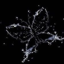 AsliAkkaya1's profile picture. 