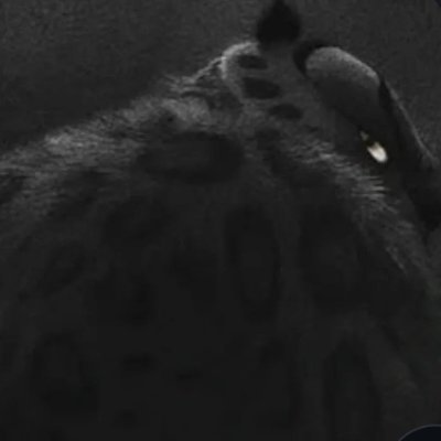 akintomiwa__001's profile picture. Dev👨🏽‍💻
Former account got banned, but the energy didn’t die with it.
Just a new space to grow, love, learn, and vibe differently.
Stay if you’re real.🌸