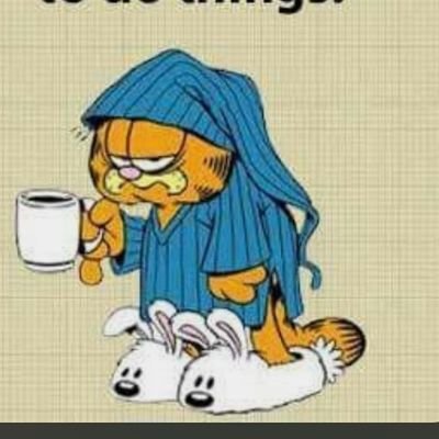 Merle998735's profile picture. 