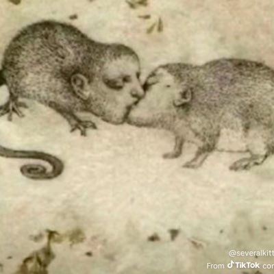 cg_melina's profile picture. me quiero morir