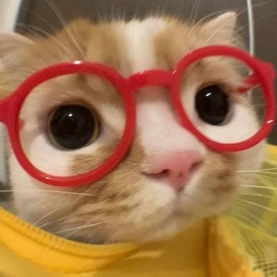 yuzutsukki's profile picture. 