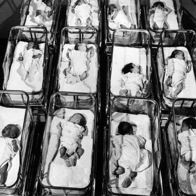 atab_nb's profile picture. Non-binary adult human female assigned TERF at birth