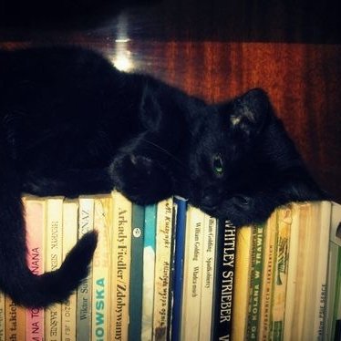 atenalover's profile picture. **Jungian girl