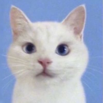 __sunoopy's profile picture. kim sunoo.