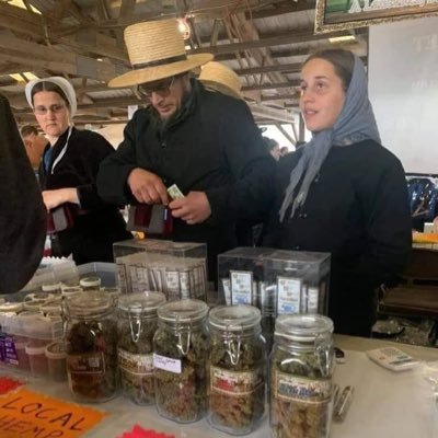 TimmyCroissant's profile picture. I despise all you nigga’s equally.