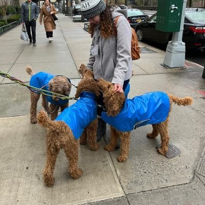 palomiservinb's profile picture. Nuevo perfil. Soy millenial, uso lentes, tengo rulos muy lindos y me casé con mi crush. Sola Scriptura, sola Gratia, sola Fide, solus Christus, soli Deo gloria.