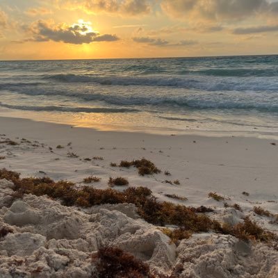 MiseriasPenas's profile picture. 