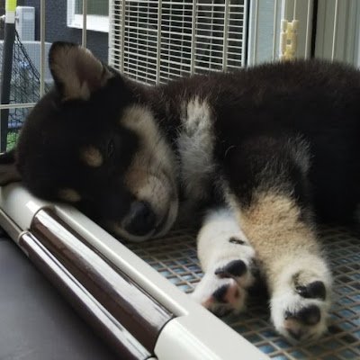 puyMtyBdwX57277's profile picture. 