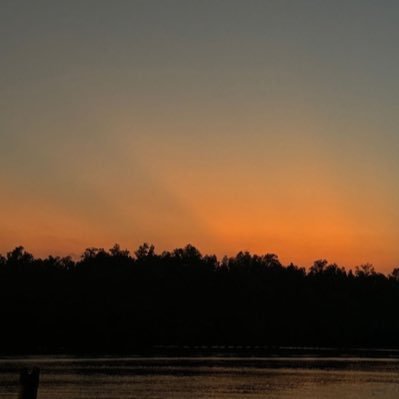 Name381130's profile picture. 