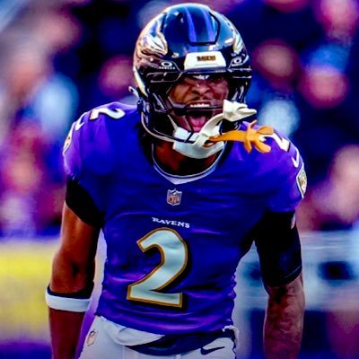 JoeuJrororo's profile picture. #RavensFlock I bleed purple