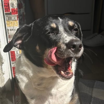 _diasszzx's profile picture. 