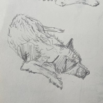 thommy_thomaz's profile picture. https://t.co/Yt8ui9aF11