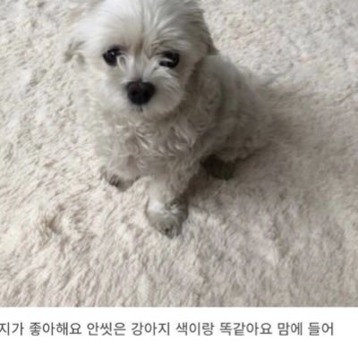 gzkwlr's profile picture. ⠀⠀⠀⠀⠀⠀⠀⠀⠀⠀⠀⠀⠀⠀⠀⠀ ⠀⠀⠀⠀⠀⠀⠀나하고시픈대루할게트친들아나떠나지말고새로운트친이생기는날을기대하며``` ⠀⠀그럼이만 ⠀⠀⠀⠀⠀⠀⠀⠀⠀⠀⠀⠀