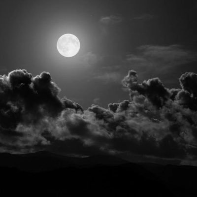 lapsx6's profile picture. $8k