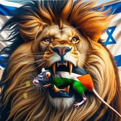 ging_mu's profile picture. Proud Israeli/American🇮🇱🇺🇸