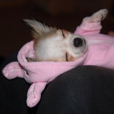 2510210e's profile picture. 