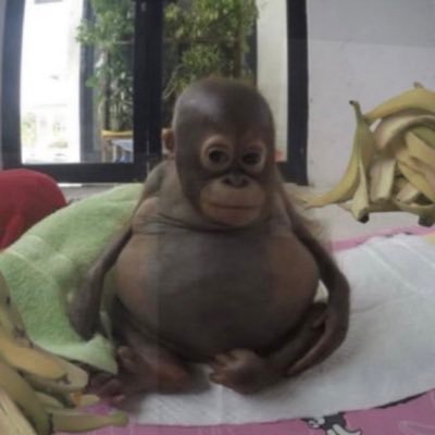 denialting's profile picture. 