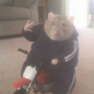 a7493858493's profile picture. عشان خاطر ربنا لا تخلي لا احد خاطر عليك