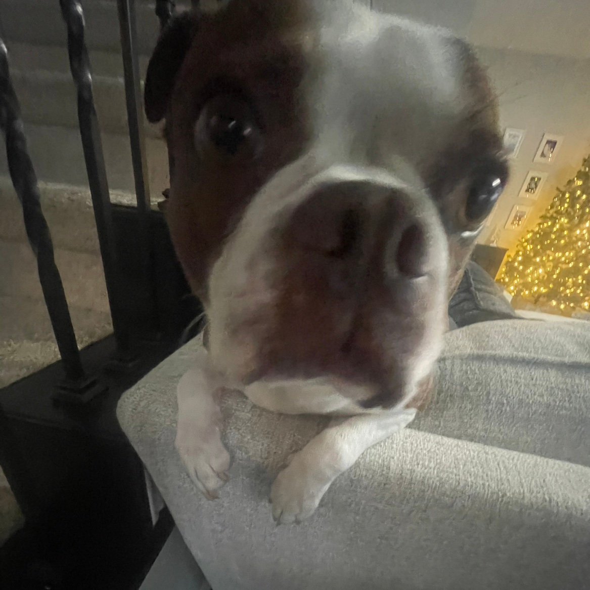 Brady_Holt13's profile picture. 