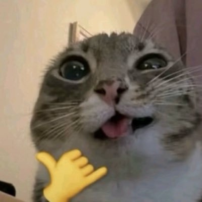 kroonwinchester's profile picture. 