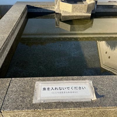 CE_Me_1ove's profile picture. 中央ユーラシアと地中海がすき|浅学