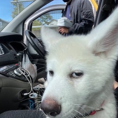 torresmolcs's profile picture. torresmo