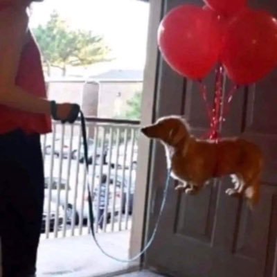 H3CC0UT__'s profile picture. don't trust the worthless stranger