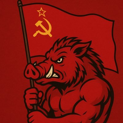 RussianBoar34's profile picture. All things Razorback fan 🐗 #Hogsby90