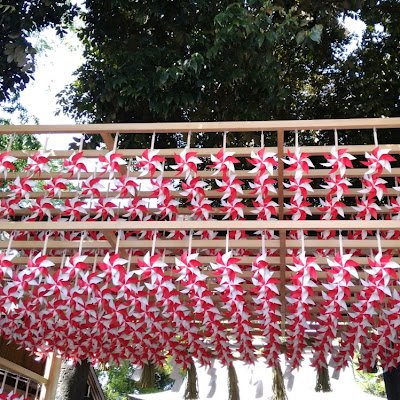 qwjsCUGpNt98977's profile picture. 