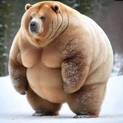 asidesar's profile picture. patrykbocian