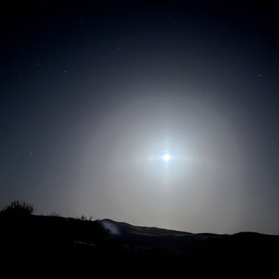 hdhydtdtsy12_m's profile picture. 