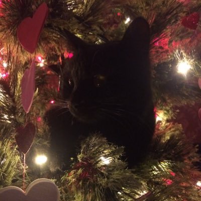 uhlyvia's profile picture. 8teen | to the death star 𓆩𓆪₊˚⊹