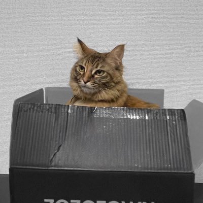 nagiso_get26's profile picture. お得な情報が好き✨
ネコ🐈のおまんま代を稼ぎたいアカウント！