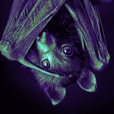 northwind3r's profile picture. 𓆩⟡𓆪 ✦ northwind3r on tiktok ✦ 21 yrs old ! PROSHIP/ZOO DNI || .⋅ ۵♡۵ ⋅.✦ currently into : dispatch, fantasy high, invincible , jjk ✦ 𓆩ꨄ︎𓆪