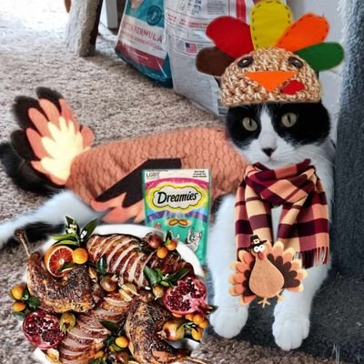 Lpowell588Lady's profile picture. ✨🐈 #magical #CatLady 
#Fibro & #ChronicPain warrior. 
📚 #AmReading #mystery #scifi #UF #steampunk 
Petpals preserve sanity! #weeti 
& 😻@tosca3333