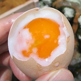 3RpNKgvlEa68042's profile picture. 温泉と日本の歴史にかかわる学術情報（主に人文科学系）を収集するためのアカウントです。図書・論文・博物館展示・文化財など。
（写真はTLの栞がわり）