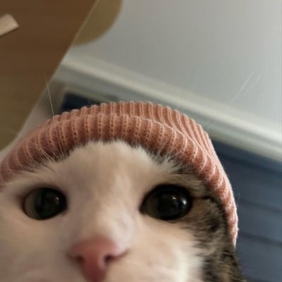 CEJzeRq4ty30514's profile picture. 