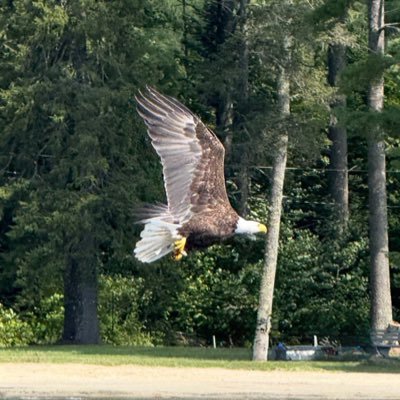 therealcbg1983's profile picture. Montan Veteran #EOD #bornfree #2A #DefundtheUN