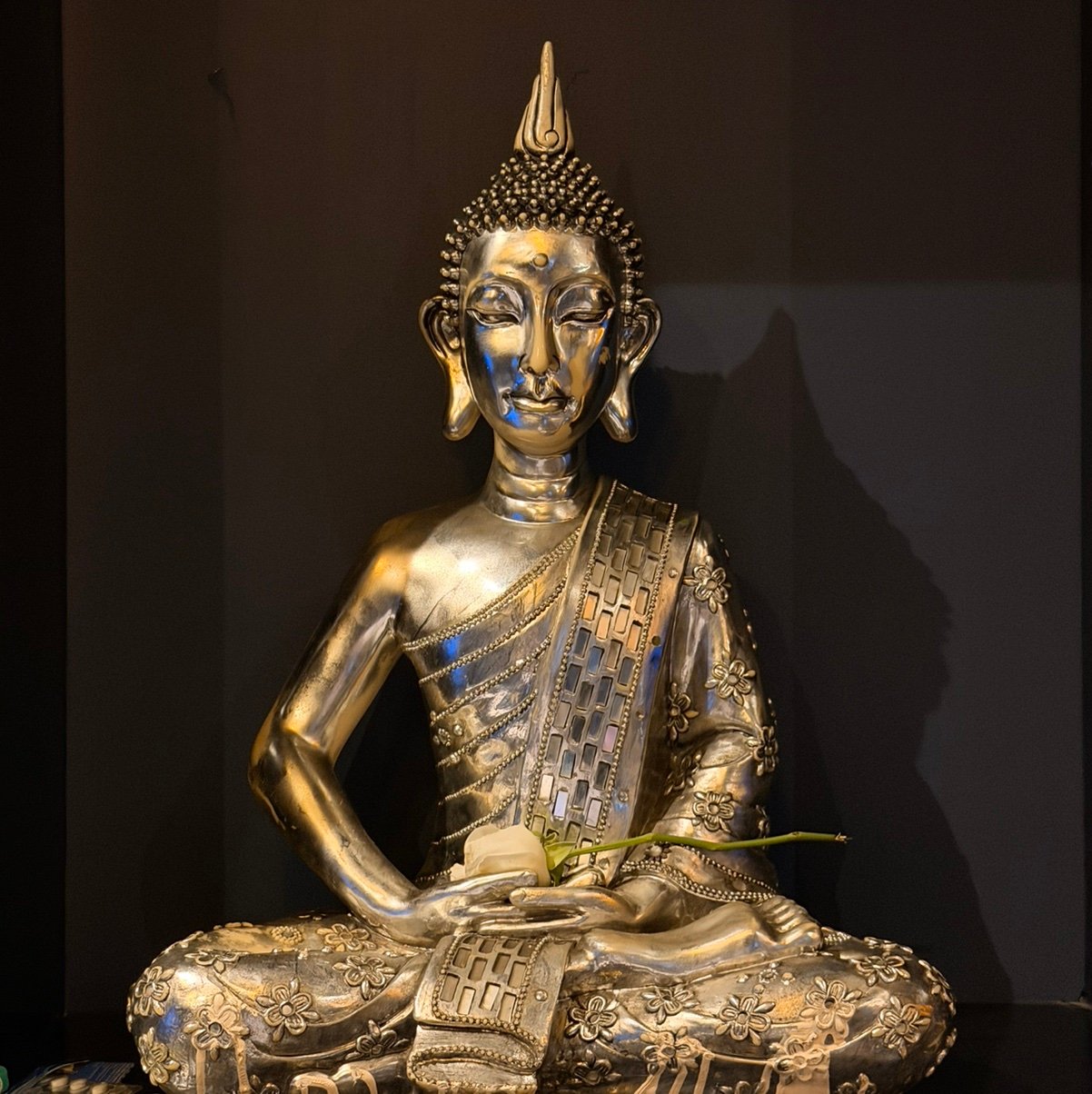 CarlosLeoni0mw's profile picture. 