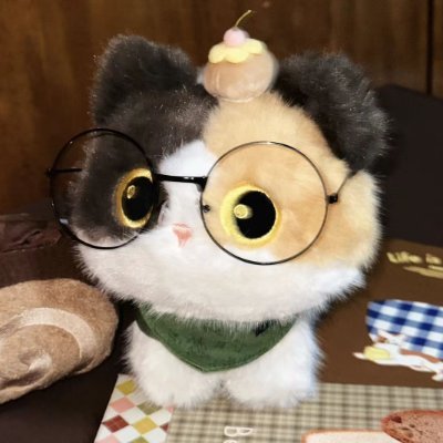 Shiroya46731160's profile picture. 