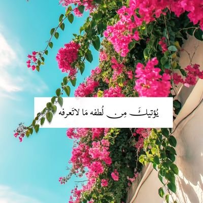 Mscrano85's profile picture. أيتها السعادة، أوصيك بنفسي🍂أيا ربِّ
أسألُكَ أن أُوفَّق في مساعِيَّ، وأن أسيرَ بحرزِك في طريقي آمنة مُطمئنّة آمين🤍🤍