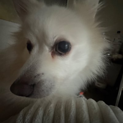 yogathunder123's profile picture. Wherever it may bend, I will see you at the end