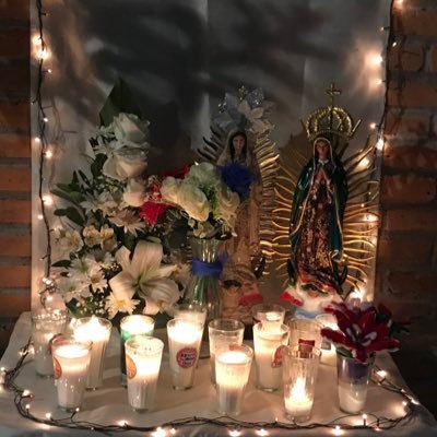 IngGonzaloCort2's profile picture. DIOS PRIMERO▫️@ClubAmerica de 💛‼️💙 (Tricampeones)▫️Anti-KK’s y anti calaca Shitbaum▫️Mi locura, motor que me alienta a salir adelante▫️#UnidosPorMéxico