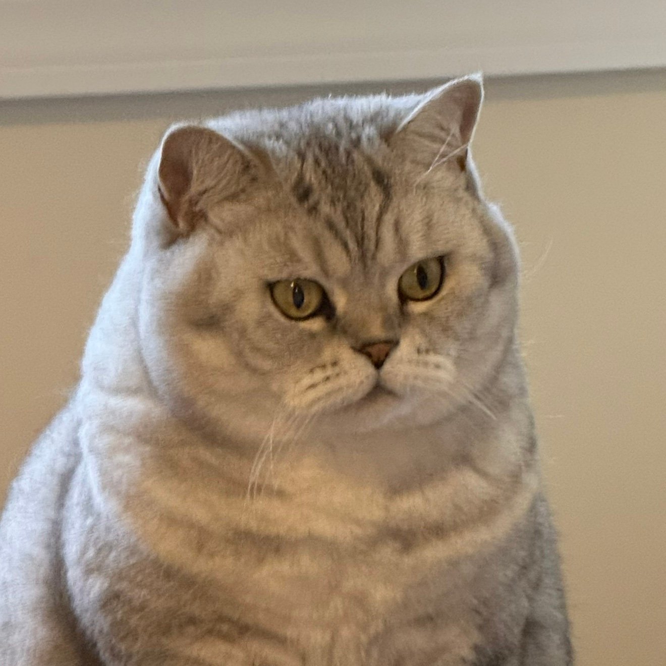 LukesFatherDart's profile picture. 