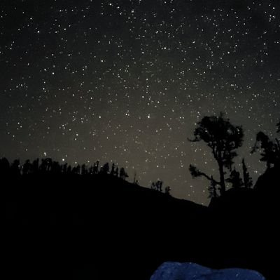 raj_Ashish90's profile picture. 