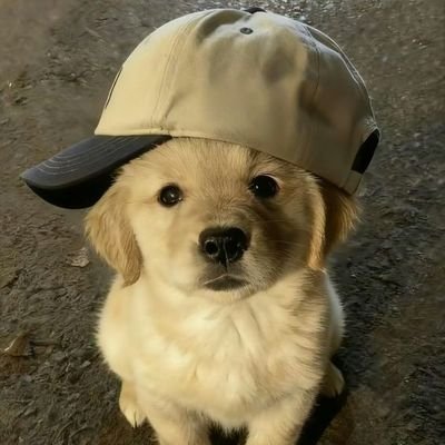 hb_sauck's profile picture. Cuenta para sorteos