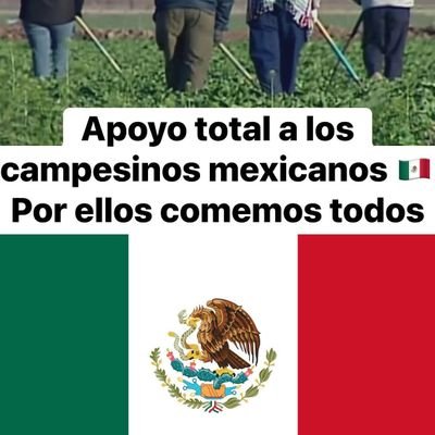 Regina_NST's profile picture. Orgullosamente Mujer 🇲🇽 🇱🇷
Compartiendo mi vida con el hombre que amo 💓😍💓