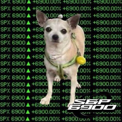 fud_daily's profile picture. chilling in my house